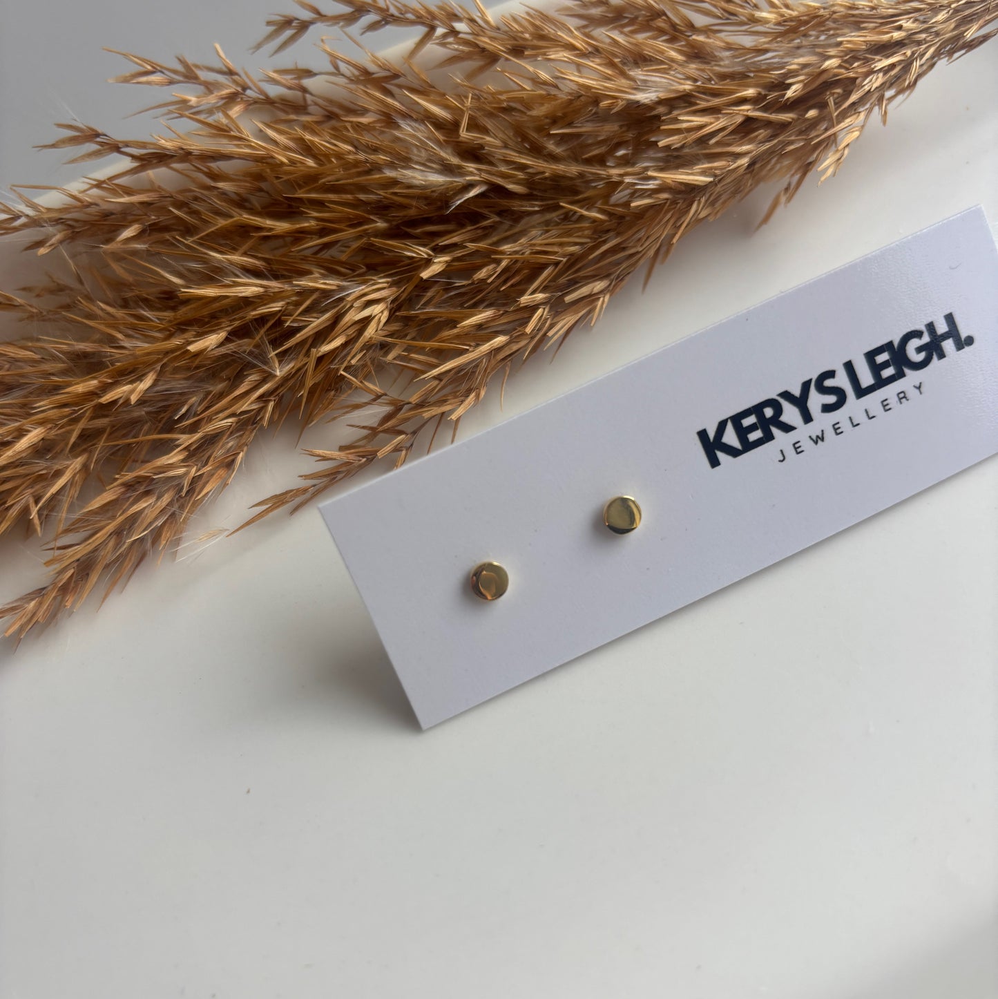 Solid Circle Studs (Gold)