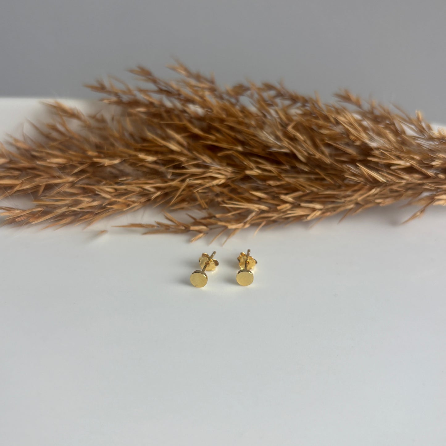 Solid Circle Studs (Gold)