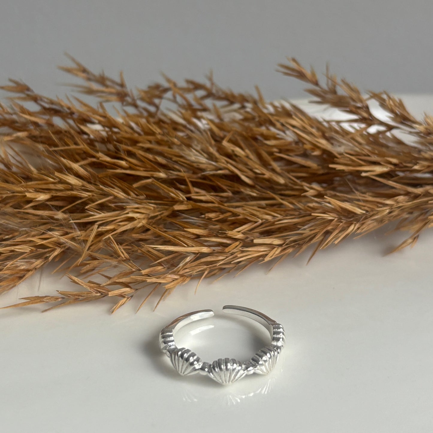 Shell Ring (Silver)